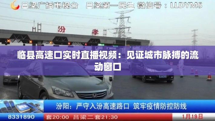 临县高速口实时直播视频:见证城市脉搏的流动窗口