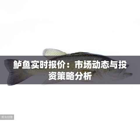 鲈鱼实时报价：市场动态与投资策略分析