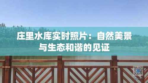 庄里水库实时照片:自然美景与生态和谐的见证