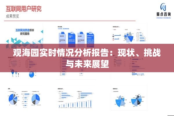 观海园实时情况分析报告：现状、挑战与未来展望