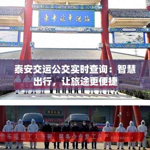 泰安交运公交实时查询:智慧出行,让旅途更便捷