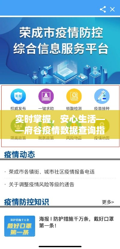 实时掌握,安心生活——府谷疫情数据查询指南