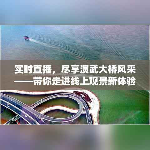实时直播,尽享演武大桥风采——带你走进线上观景新体验