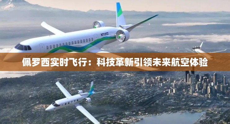 佩罗西实时飞行:科技革新引领未来航空体验
