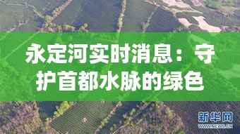 以卵就石 第5页