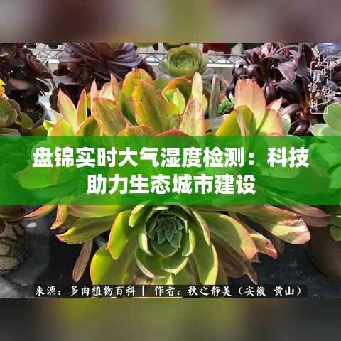 盘锦实时大气湿度检测:科技助力生态城市建设