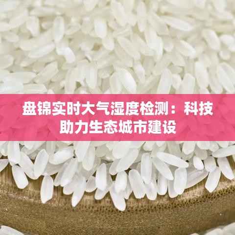 盘锦实时大气湿度检测:科技助力生态城市建设
