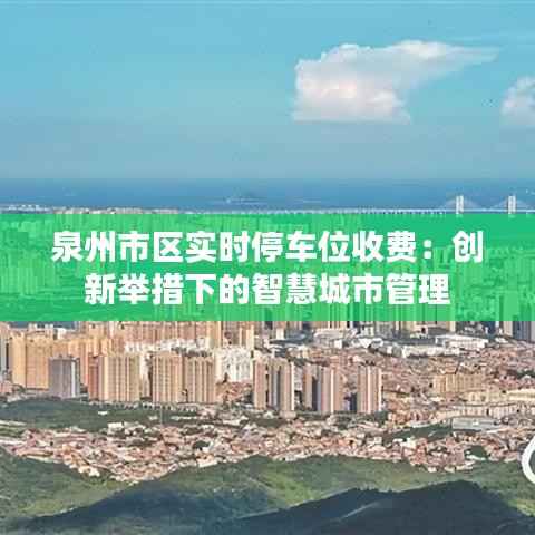 泉州市区实时停车位收费：创新举措下的智慧城市管理