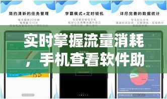 实时掌握流量消耗，手机查看软件助你省心省流