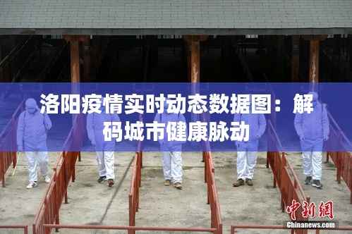洛阳疫情实时动态数据图:解码城市健康脉动