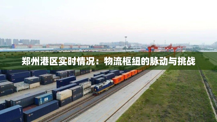 郑州港区实时情况:物流枢纽的脉动与挑战
