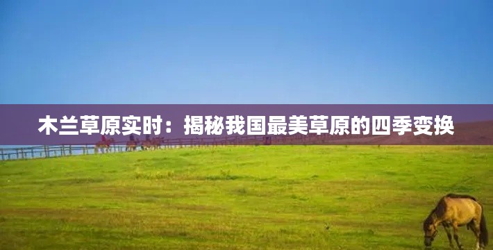 木兰草原实时:揭秘我国最美草原的四季变换