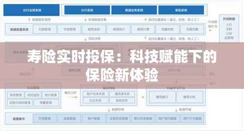寿险实时投保:科技赋能下的保险新体验