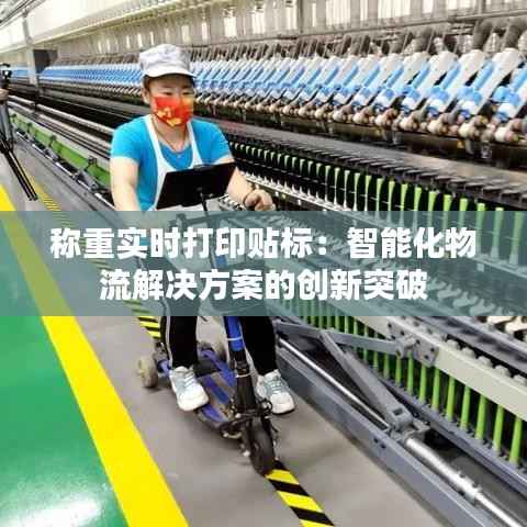 称重实时打印贴标：智能化物流解决方案的创新突破