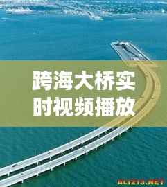 跨海大桥实时视频播放大全:桥梁科技与视觉盛宴的完美结合