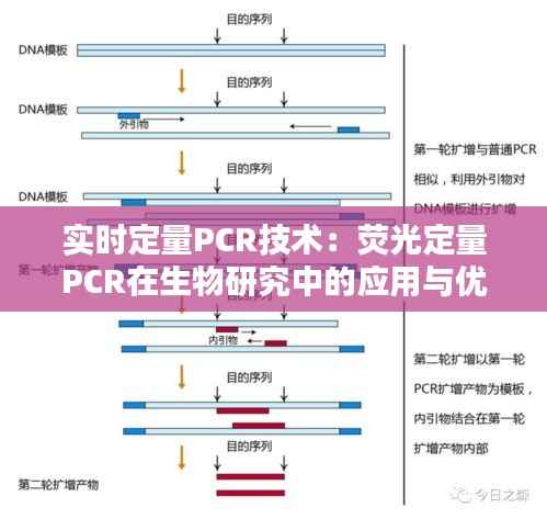 实时定量PCR技术：荧光定量PCR在生物研究中的应用与优势