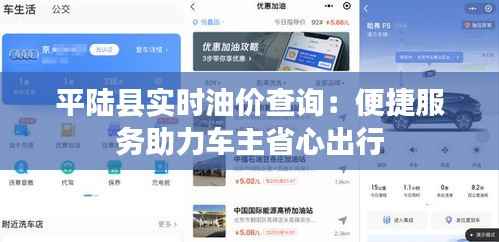 平陆县实时油价查询：便捷服务助力车主省心出行