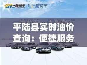 平陆县实时油价查询:便捷服务助力车主省心出行