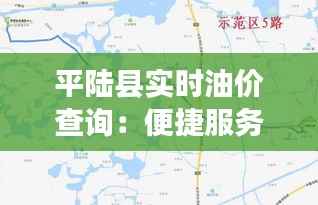 平陆县实时油价查询:便捷服务助力车主省心出行