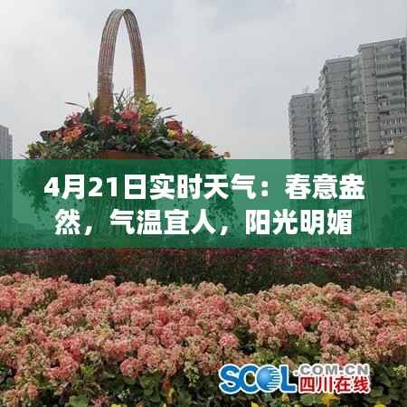 4月21日实时天气:春意盎然,气温宜人,阳光明媚