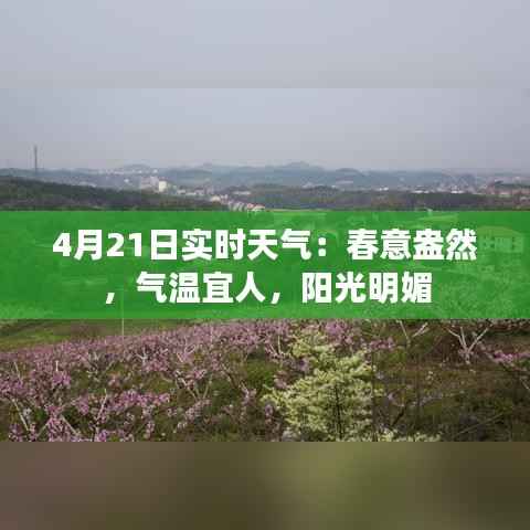 4月21日实时天气:春意盎然,气温宜人,阳光明媚