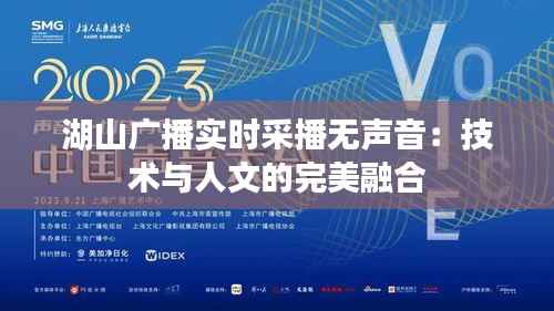 湖山广播实时采播无声音:技术与人文的完美融合