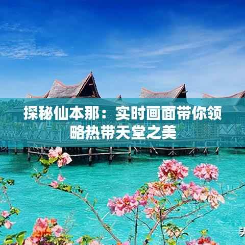 探秘仙本那：实时画面带你领略热带天堂之美