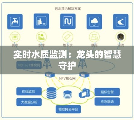实时水质监测：龙头的智慧守护