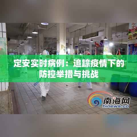 定安实时病例:追踪疫情下的防控举措与挑战