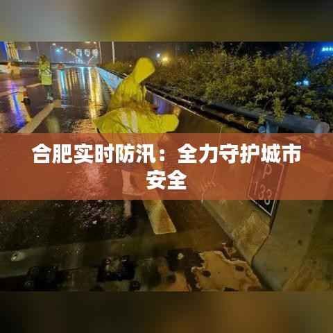 合肥实时防汛：全力守护城市安全