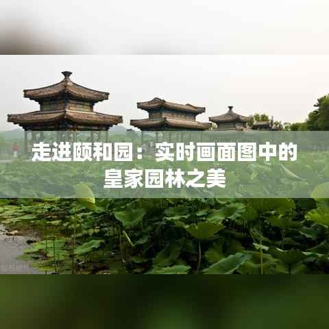 走进颐和园:实时画面图中的皇家园林之美