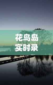 花鸟岛实时录像:如何轻松观看大自然的美景