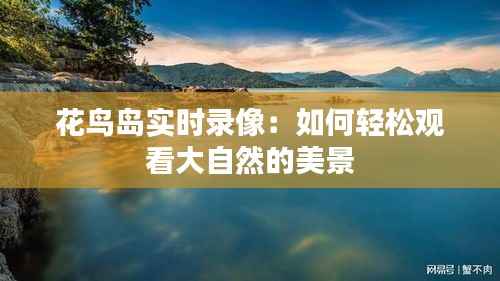 花鸟岛实时录像:如何轻松观看大自然的美景