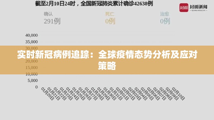 实时新冠病例追踪:全球疫情态势分析及应对策略
