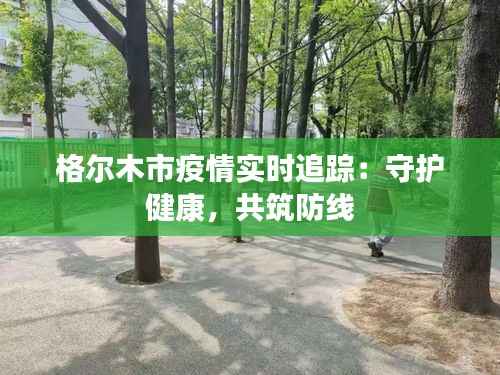 格尔木市疫情实时追踪:守护健康,共筑防线