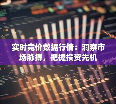 实时竞价数据行情：洞察市场脉搏，把握投资先机