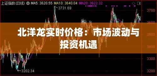 北洋龙实时价格:市场波动与投资机遇