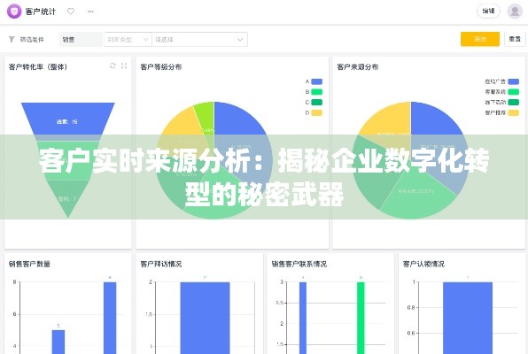 客户实时来源分析：揭秘企业数字化转型的秘密武器