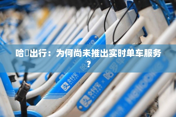哈啰出行:为何尚未推出实时单车服务?