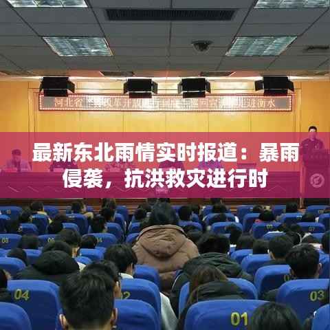 最新东北雨情实时报道:暴雨侵袭,抗洪救灾进行时