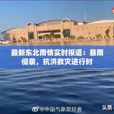 最新东北雨情实时报道:暴雨侵袭,抗洪救灾进行时