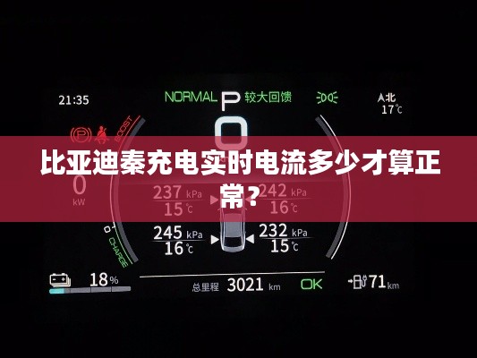 比亚迪秦充电实时电流多少才算正常？