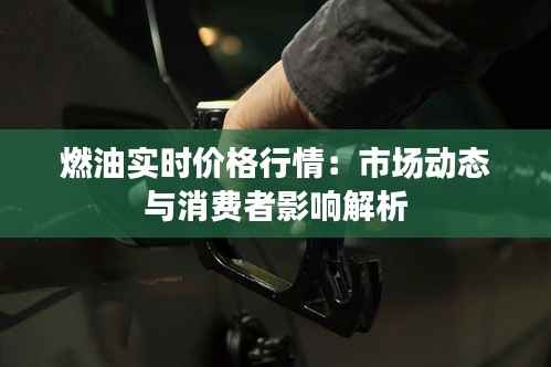 一石二鸟 第5页