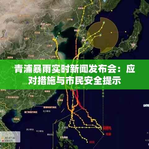 青浦暴雨实时新闻发布会：应对措施与市民安全提示
