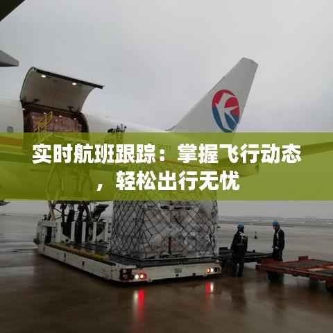 实时航班跟踪:掌握飞行动态,轻松出行无忧