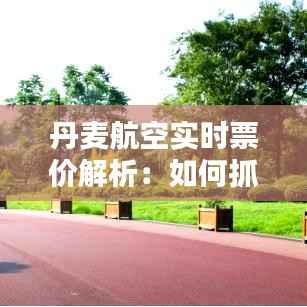 丹麦航空实时票价解析:如何抓住最佳出行时机