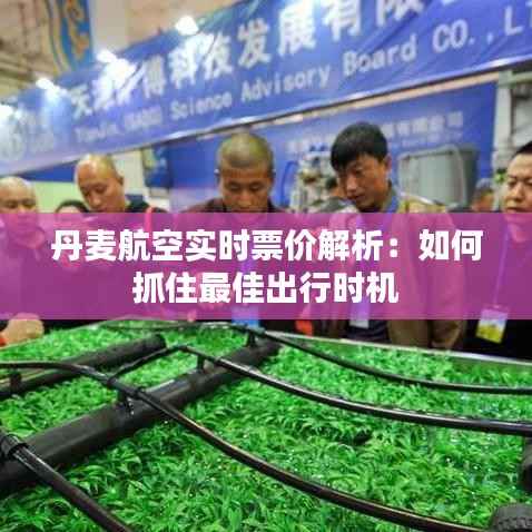 丹麦航空实时票价解析：如何抓住最佳出行时机