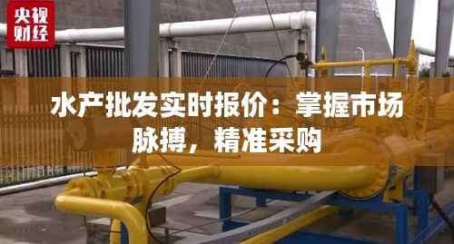 水产批发实时报价:掌握市场脉搏,精准采购