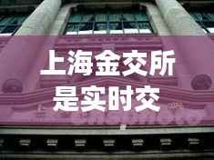 上海金交所是实时交易吗?