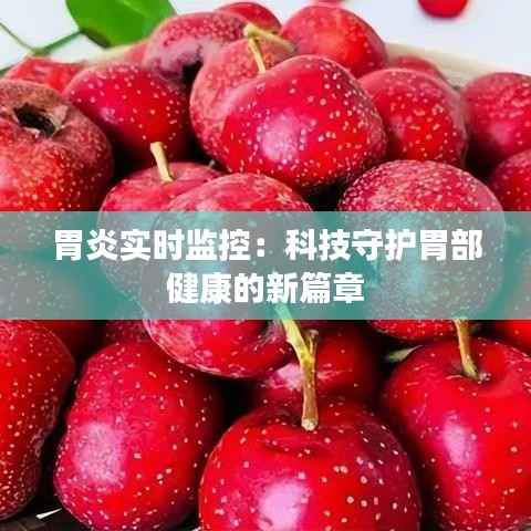 胃炎实时监控:科技守护胃部健康的新篇章